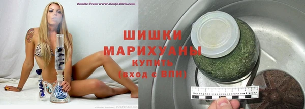 шишки Тайга