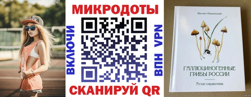 Псилоцибиновые грибы Magic Shrooms  shop наркотические препараты  Ефремов  MEGA сайт 