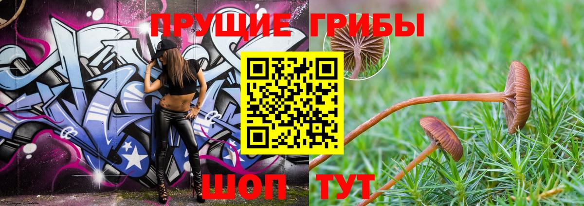 Галлюциногенные грибы мухоморы Ефремов